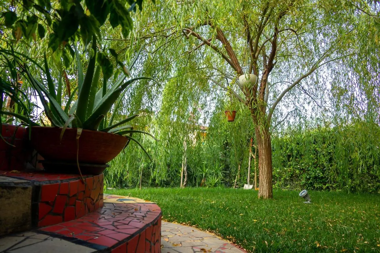 Jardin De Los Sentidos Cola  Italy